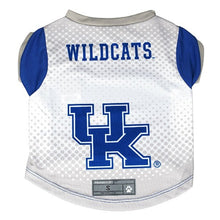 Kentucky Wildcats Pet Jersey