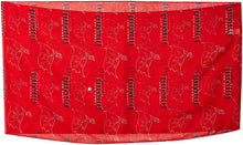 NFL Infinity Scarf